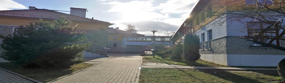foto1
